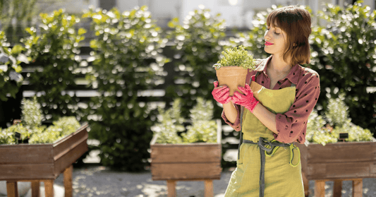 Woman Planting Herb Plant - AliExpress in UK