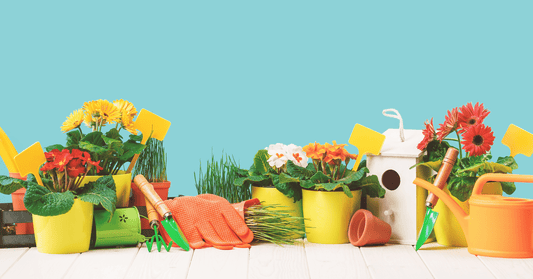 Ali Express UK | Garden Shopping Guide - Save Big on AliExpress UK