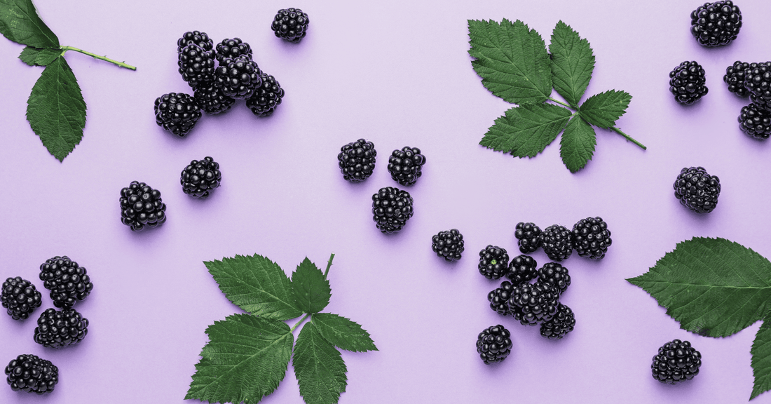 Blackberry Cake Recipe UK Going Viral - Fresh, Fruity And Addictive