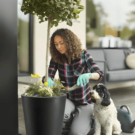 Set of 2 Tall Round Planters